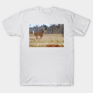 Deer Run - White-tailed deer T-Shirt